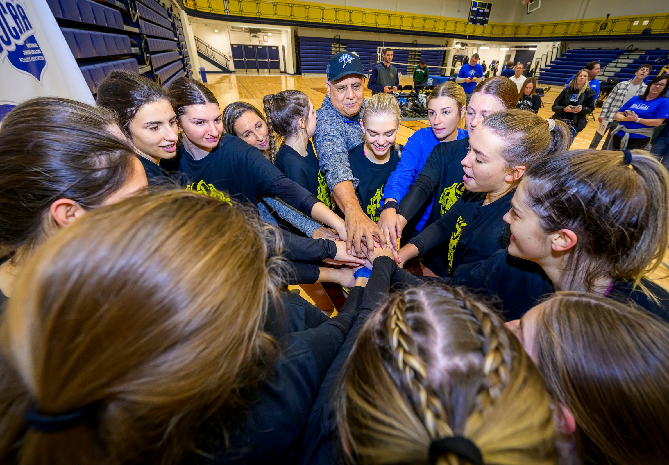 Ticket Punched! Incredible Volleyball Season Continues